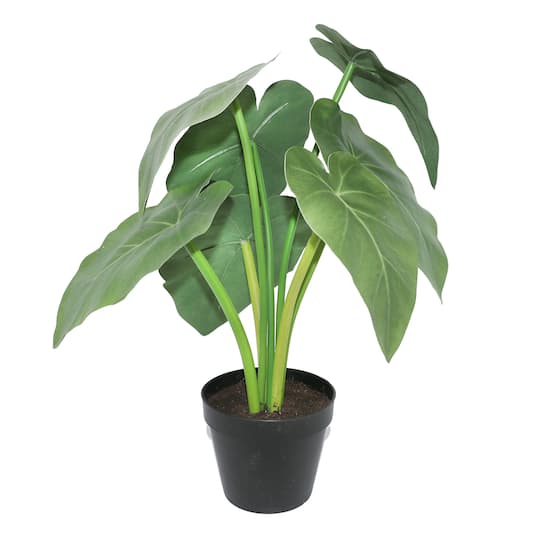 16&#x22; Potted Green Dasheen Leaves Plant by Ashland&#xAE;